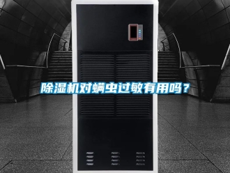 行业新闻除湿机对螨虫过敏有用吗？