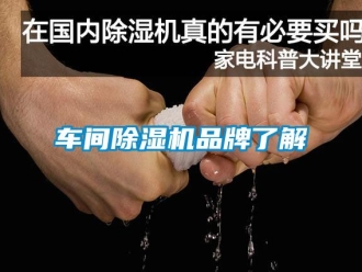 企业新闻车间除湿机品牌了解