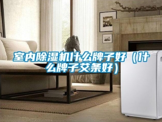 行业新闻室内除湿机什么牌子好（什么牌子艾条好）