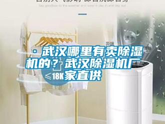 企业新闻·武汉哪里有卖除湿机的？武汉除湿机厂家直供