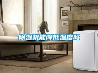行业新闻除湿机能降低温度吗