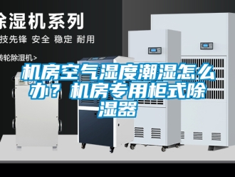 行业新闻机房空气湿度潮湿怎么办？机房专用柜式除湿器
