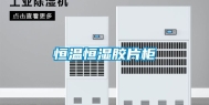 恒温恒湿胶片柜
