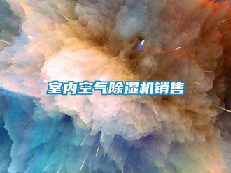 行业新闻室内空气除湿机销售