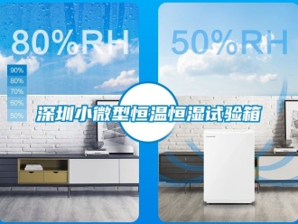 知识百科深圳小微型恒温恒湿试验箱