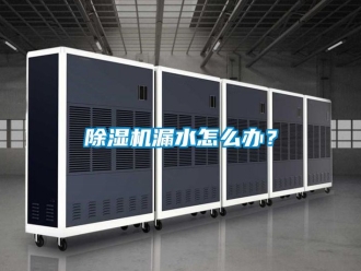 行业新闻除湿机漏水怎么办？