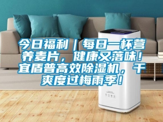 行业新闻今日福利｜每日一杯营养麦片，健康又落味！宜盾普高效除湿机，干爽度过梅雨季！