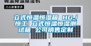 立式恒温恒湿箱 HG／恒工 立式恒温恒湿测试箱 公司销售定制