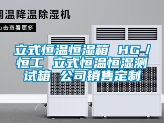 知识百科立式恒温恒湿箱 HG／恒工 立式恒温恒湿测试箱 公司销售定制