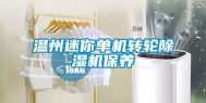 温州迷你单机转轮除湿机保养