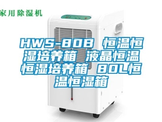 常见问题HWS-80B 恒温恒湿培养箱 液晶恒温恒湿培养箱 80L恒温恒湿箱