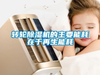 常见问题转轮除湿机的主要能耗在于再生能耗