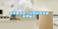 蔬菜加湿器，让新鲜蔬菜保鲜更省心