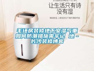 企业新闻毛坯房装修地下室湿气重如何防潮措施需牢记 地－长沙装修博客