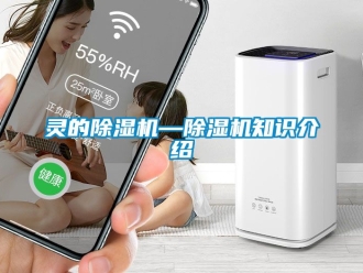行业新闻灵的除湿机—除湿机知识介绍