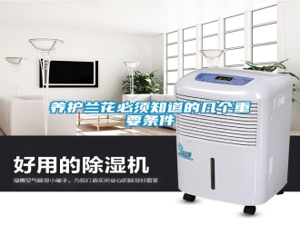 知识百科养护兰花必须知道的几个重要条件