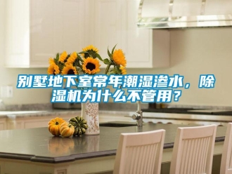 企业新闻别墅地下室常年潮湿渗水，除湿机为什么不管用？