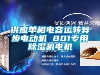 行业新闻供应单相电容运转异步电动机 801专用除湿机电机