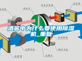 行业新闻酒窖中为什么要使用除湿机_重复