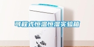 可程式恒温恒湿实验箱