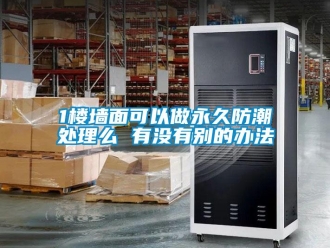 企业新闻1楼墙面可以做永久防潮处理么 有没有别的办法