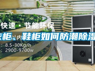 常见问题衣柜、鞋柜如何防潮除湿？