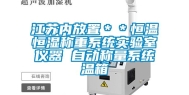 江苏内放置＊＊恒温恒湿称重系统实验室仪器 自动称量系统温箱