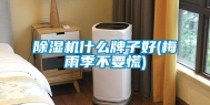 除湿机什么牌子好(梅雨季不要慌)