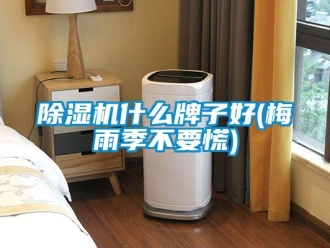 行业新闻除湿机什么牌子好(梅雨季不要慌)