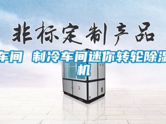 常见问题车间 制冷车间迷你转轮除湿机