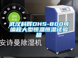 知识百科武汉科辉DHS-800可编程大型恒温恒湿试验箱
