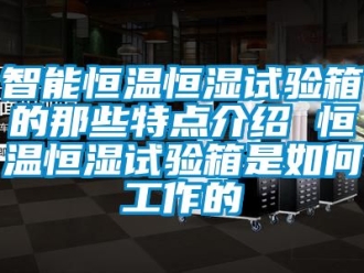 知识百科智能恒温恒湿试验箱的那些特点介绍 恒温恒湿试验箱是如何工作的