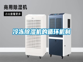 行业新闻冷冻除湿机的循环机制