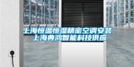 上海恒温恒湿精密空调安装 上海典鸿智能科技供应