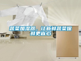 知识百科蔬菜加湿器，让新鲜蔬菜保鲜更省心