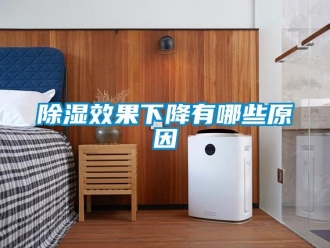 企业新闻除湿效果下降有哪些原因