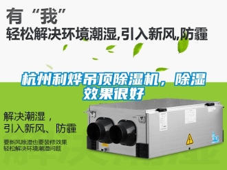 行业新闻杭州利烨吊顶除湿机，除湿效果很好