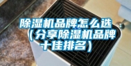 除湿机品牌怎么选（分享除湿机品牌十佳排名）