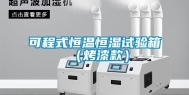 可程式恒温恒湿试验箱（烤漆款）