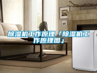 行业新闻除湿机工作原理「除湿机工作原理图」