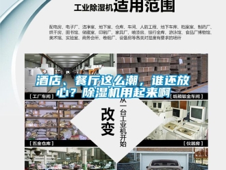 行业新闻酒店、餐厅这么潮，谁还放心？除湿机用起来啊