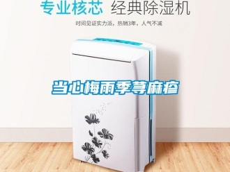 企业新闻当心梅雨季荨麻疹