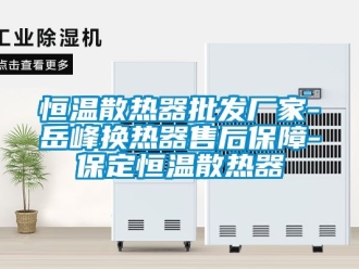 知识百科恒温散热器批发厂家-岳峰换热器售后保障-保定恒温散热器