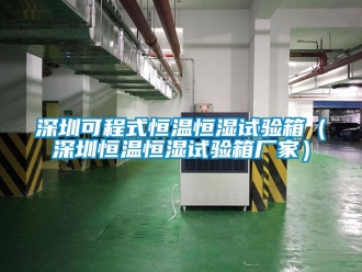 知识百科深圳可程式恒温恒湿试验箱（深圳恒温恒湿试验箱厂家）