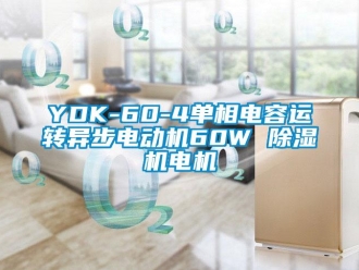 企业新闻YDK-60-4单相电容运转异步电动机60W 除湿机电机