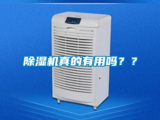 行业新闻除湿机真的有用吗？？