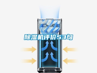 行业新闻除湿机评价53句