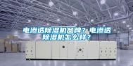 电渗透除湿机品牌？电渗透除湿机怎么样？