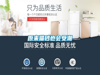 知识百科原来猫砂也会受潮