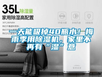 行业新闻一天能吸掉40瓶水！梅雨季用除湿机，家里不再有“湿”意